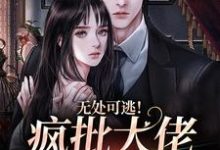 无处可逃！疯批大佬强制爱小说资源求分享，无处可逃！疯批大佬强制爱姜亦乔在线阅读-看书城