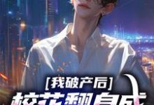 完结版我破产后，校花翻身成总裁要养我？在哪免费看，陈述苏晴晚小说在线阅读-看书城