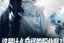 跪求主角是陆星的小说书名叫什么-看书城