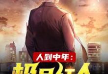 小说人到中年:极品红人(赵腾金露儿)最新章节在哪看-看书城