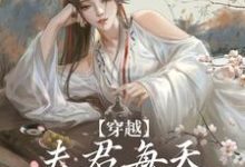 穿越：夫君每天都在争风吃醋最新章节穿越：夫君每天都在争风吃醋在线阅读-看书城