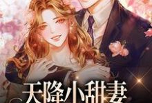 天降小甜妻：偏执大佬抱着哄最新章节天降小甜妻：偏执大佬抱着哄在线阅读-看书城
