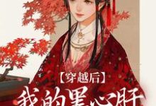 小说穿越后，我的黑心肝相公太撩人（李希赵承泽）最新章节在哪看-看书城
