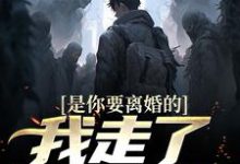 小说是你要离婚的，我走了你又哭？主角陈潜柳如烟免费阅读-看书城