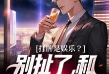 打牌是娱乐？别扯了，和打仗差不多无弹窗高林赵桂菊最新章节列表-看书城