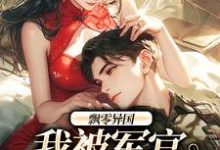 飘零异国,我被军官强制爱完结版孟喃枝纪恙免费阅读大结局-看书城