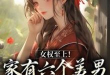 言卿在线阅读，女权至上！家有六个美男是什么体验小说完结版章节-看书城