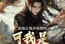 系统让我开枝散叶，可我是太监啊？免费阅读，林辰程平安大结局无弹窗-看书城