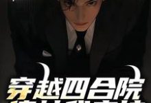 精彩章节阅读穿越四合院，傻柱我来护(何大清)免费小说在线看-看书城