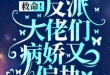 小说救命！反派大佬们病娇又偏执（盛暖）最新章节在哪看-看书城