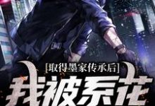 陈瀚宁欣楠最新章节列表取得墨家传承后，我被系花盯上了免费阅读-看书城