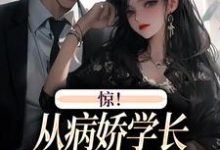 精彩章节阅读惊！从病娇学长身边逃跑失败了(叶寒向暖)免费小说在线看-看书城
