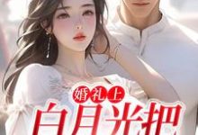 沈矜陈槿之最新章节列表婚礼上，白月光把男友截胡了免费阅读-看书城
