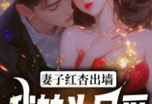 石昊水婉婷小说的结局在哪可以看，妻子红杏出墙，我转头另爱免费阅读完结版-看书城