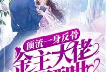 顶流一身反骨,金主大佬缠腰哄(向暖沈宴时)完结版免费阅读-看书城