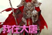 方二程咬金小青最新章节我在大唐卖军火免费阅读-看书城