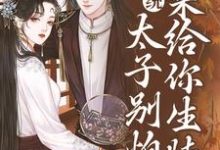 完结版系统：太子别怕，我来给你生娃了在哪免费看，许锦意小说在线阅读-看书城