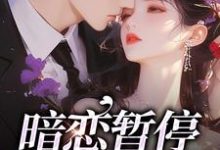 宋霜序贺庭洲小说的结局在哪可以看，暗恋暂停，开始恋爱免费阅读完结版-看书城