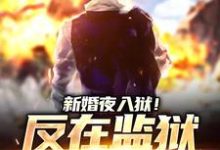 小说新婚夜入狱!反在监狱成大佬主角秦风林婉儿免费阅读-看书城