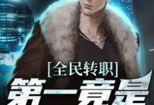 叶枫最新章节全民转职，第一竟是混子瑶免费阅读-看书城