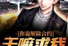 你说解除合约,干嘛求我回去最新章节你说解除合约,干嘛求我回去在线阅读-看书城