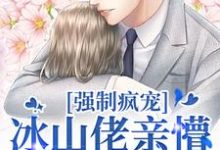 跪求主角是许知意祁京辞的小说书名叫什么-看书城