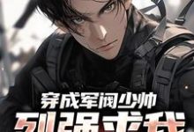 穿成军阀少帅，列强求我别扩军了免费阅读，秦林大结局无弹窗-看书城
