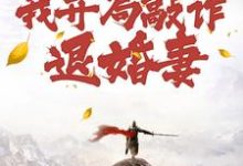 精彩章节阅读穿到修仙界，我开局敲诈退婚妻(顾风)免费小说在线看-看书城