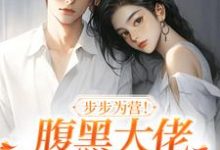 步步为营！腹黑大佬撩宠野玫瑰无弹窗方雒仪周继燊最新章节列表-看书城