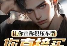 让你宣称积压车型,你直接买脱销?(主角苏晨)完结版免费阅读-看书城