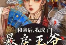 和亲后，我成了暴戾王爷的心尖宠无弹窗萧寒姜紫宁最新章节列表-看书城