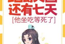 求助这本大明：距离灭国还有七天？他坐吃等死了小说在哪里可以看完结版-看书城
