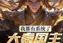 我都有系统了，大秦国主还装啥完结版叶天北冥子免费阅读大结局-看书城