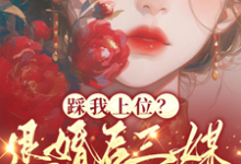 踩我上位？退婚后三媒六聘嫁他哥精彩章节阅读(阮月见萧樾)免费阅读大结局-看书城