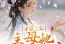 小说守寡三年,主母她一夜有喜主角沈溪苓免费阅读-看书城
