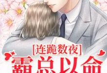 连跪数夜，霸总以命换我重生热门小说(夏晚南枭)在线阅读无弹窗-看书城