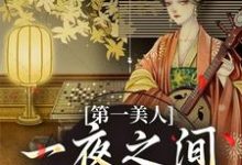 第一美人，一夜之间沦为笑柄精彩章节阅读(沐青婼楚云珩)免费阅读大结局-看书城
