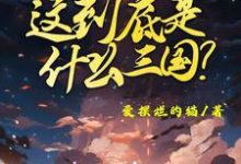 这到底是什么三国(陈默)完结版免费阅读-看书城