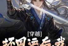 穿越：坏国运后，我要飞升成仙（李天唐含雪）最新章节免费在线阅读-看书城