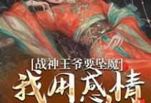 完结版战神王爷要坠魔,我用感情拯救他在哪免费看,苏婉清陆少卿小说在线阅读-看书城
