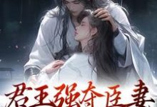 小说君王强夺臣妻,只为惊鸿一面(陆妧夕尉迟璟)最新章节在哪看-看书城