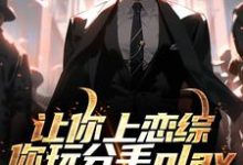 求助这本让你上恋综，你玩分手play小说在哪里可以看完结版-看书城