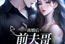 小说离婚后,前夫哥苦等我回头主角景钰李岩松免费阅读-看书城