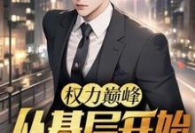 权力巅峰：从基层开始步步高升（苏绵绵）最新章节在线阅读-看书城