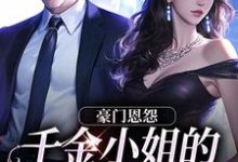 豪门恩怨：千金小姐的贴身保镖热门小说(沈湛陆熙)在线阅读无弹窗-看书城