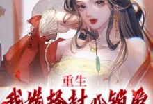 重生:我选择封心锁爱,后位不要了小说最新章节在哪里可以免费看-看书城