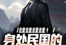 哇哇哇哇!身处民国的我变大佬小说最新章节在哪里可以免费看-看书城