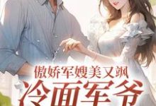 傲娇军嫂美又飒,冷面军爷被拿捏免费阅读(岑婧怡顾延卿)小说免费读最新章节-看书城