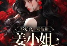 不复合，别沾边，姜小姐又美又飒在线看，顾衍泽苏辞心小说大结局在哪免费看-看书城
