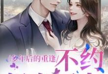多年后的重逢，不约，姐有男友大结局，禾念安傅璟忱小说无广告阅读-看书城